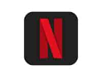 免费Netflix（奈飞）视频下载器v5.0.15.925中文汉化版-念心小站