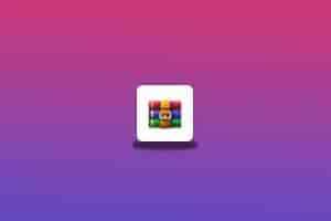 装机必备解压缩工具 WinRAR v6.24 Stable 中文正式版-念心小站