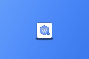 WPS Office v12.8.2.18205 2023专业增强版-念心小站