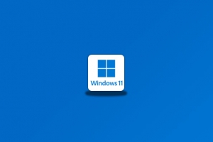 Windows 11 官方正式版-念心小站