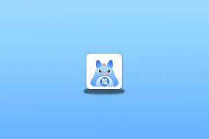 龙猫水印大师(原去水印大师支持安卓、iOS)-念心小站