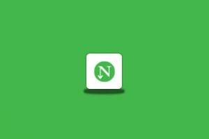 装机必备 NDM下载工具 v1.4.10 汉化中文版-念心小站