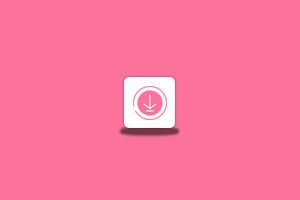 BilibiliVideoDownload v3.3.3 免费B站视频下载器-念心小站