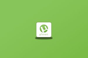 种子下载软件 uTorrent PRO v3.6.0.47142 绿色便携版-念心小站