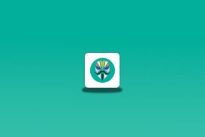 Magisk v30.6/ Magisk Manager v8.0.7 安卓系统ROOT工具-念心小站
