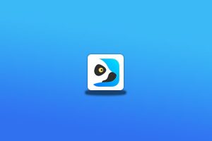 狐猴浏览器 v2.5.3.001，支持谷歌和Edge扩展插件的手机浏览器-念心小站