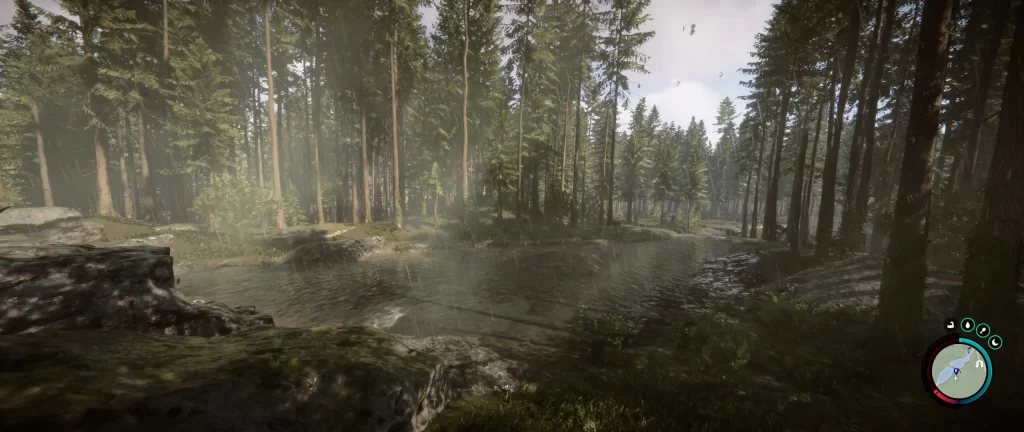 图片[2]-森林之子V35336-05HF3 官方中文特别版/解压即玩-念心小站