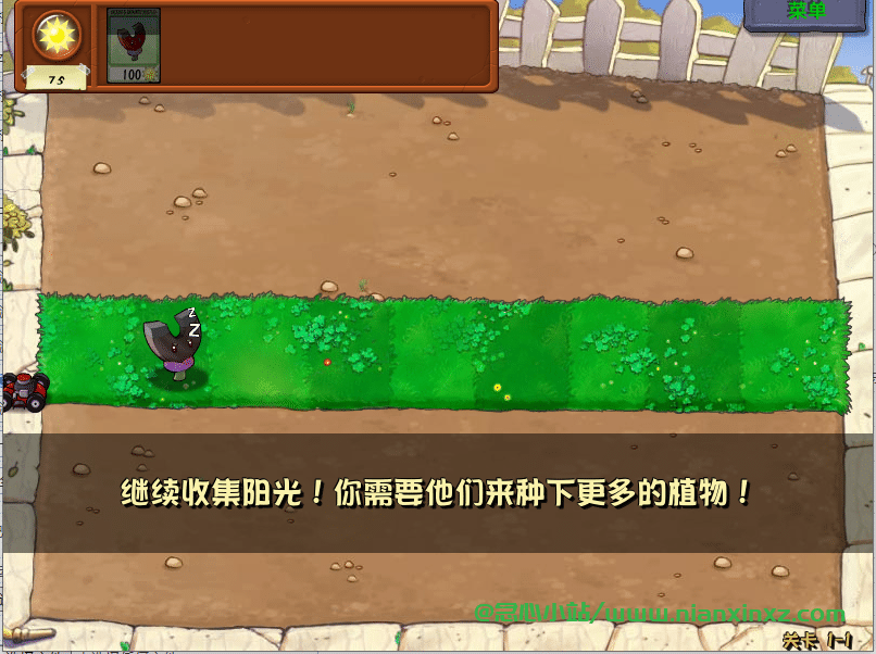最新植物大战僵尸随机版-念心小站