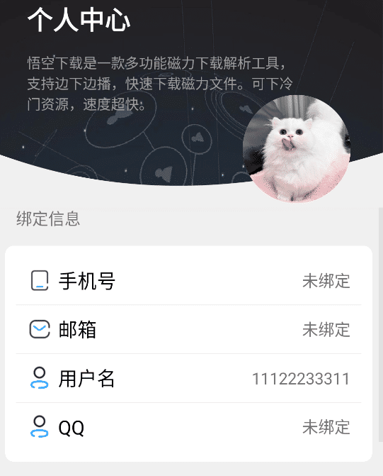 图片[3]-悟空下载 v1.3.5 解锁会员版 磁力下载神器-念心小站