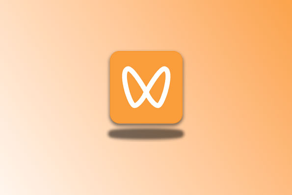 wx_video_windows_x64 免费PC端视频号下载工具-念心小站