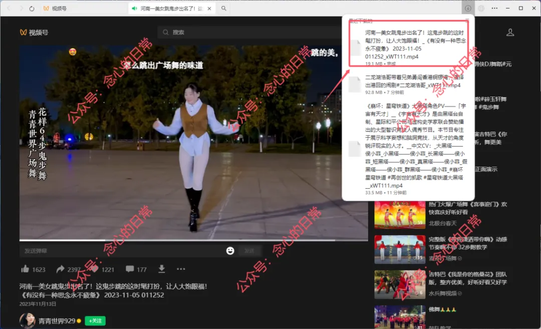 图片[3]-wx_video_windows_x64 免费PC端视频号下载工具-念心小站